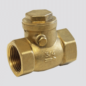 Brass Swing Non Return Valves